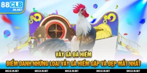 vay ga da hiem thumb